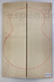 Soundboard Spruce, Arch Top Unique Piece #001